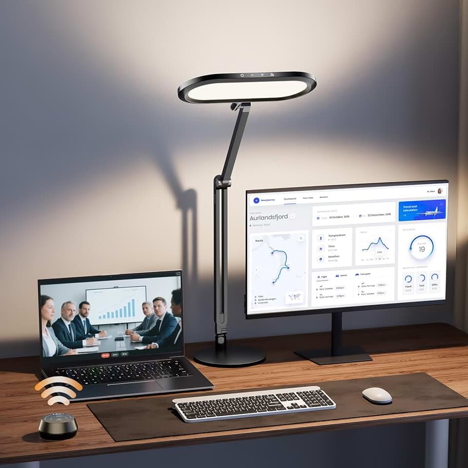 Premium LED Desk Lamp