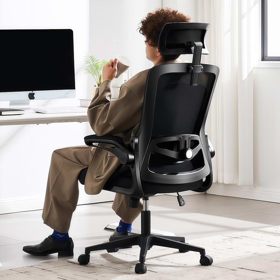 Fizzin Ergonomic Office Chair, 400 LBS Computer Chairs with Adjustable Lumbar Support, Breathable Mesh Desk Chair Ergono