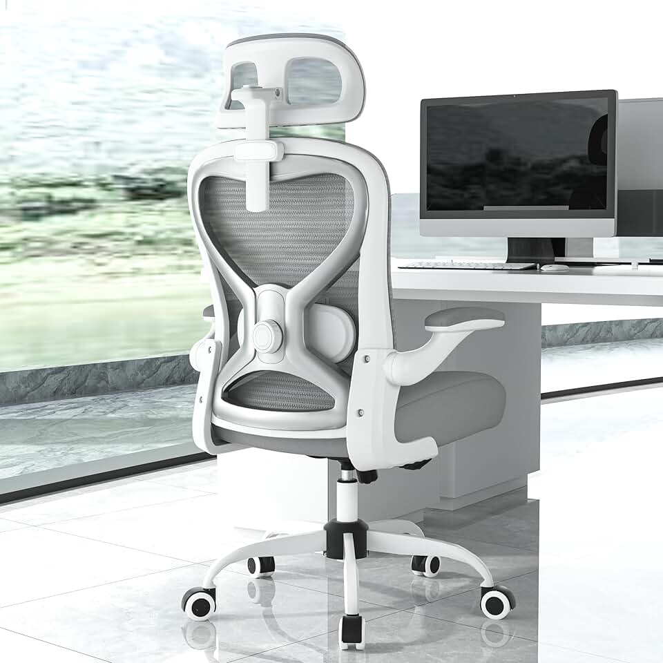 Ergonomic Office Chair for Bac